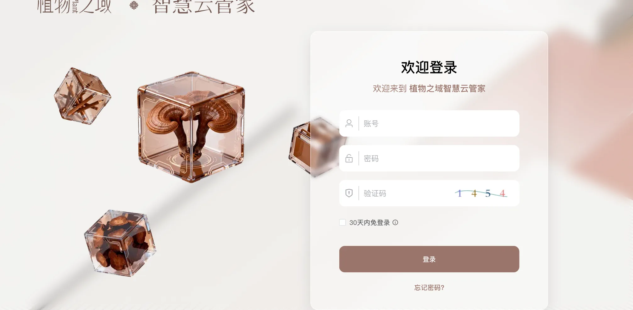 稚物之语